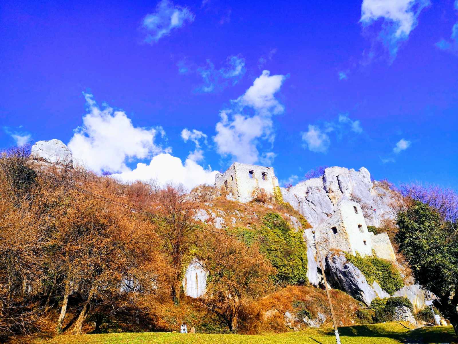 viber_slika_2025-02-07_11-05-28-560