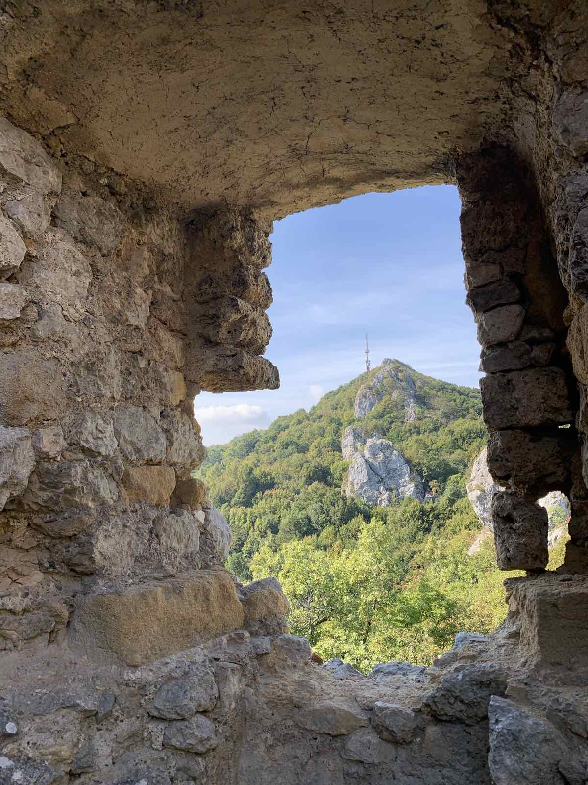 viber_slika_2025-02-07_12-48-27-702