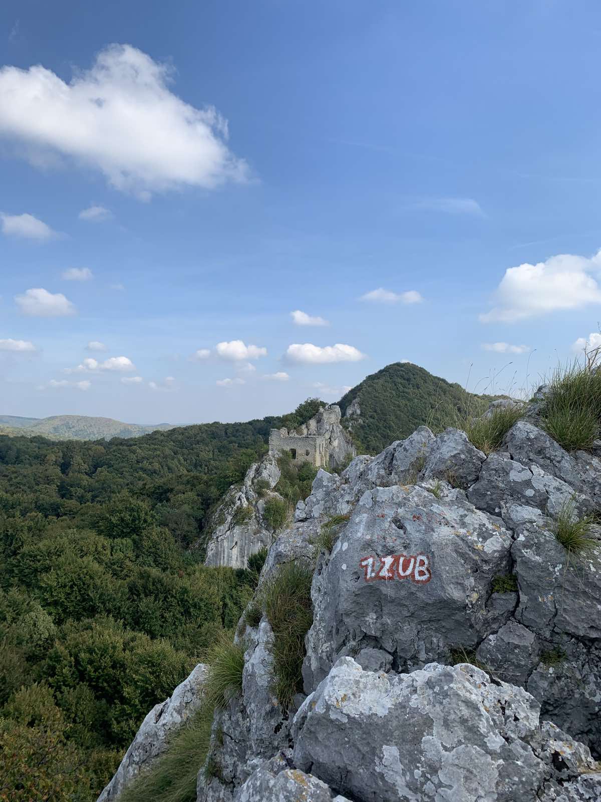 viber_slika_2025-02-07_12-48-28-444