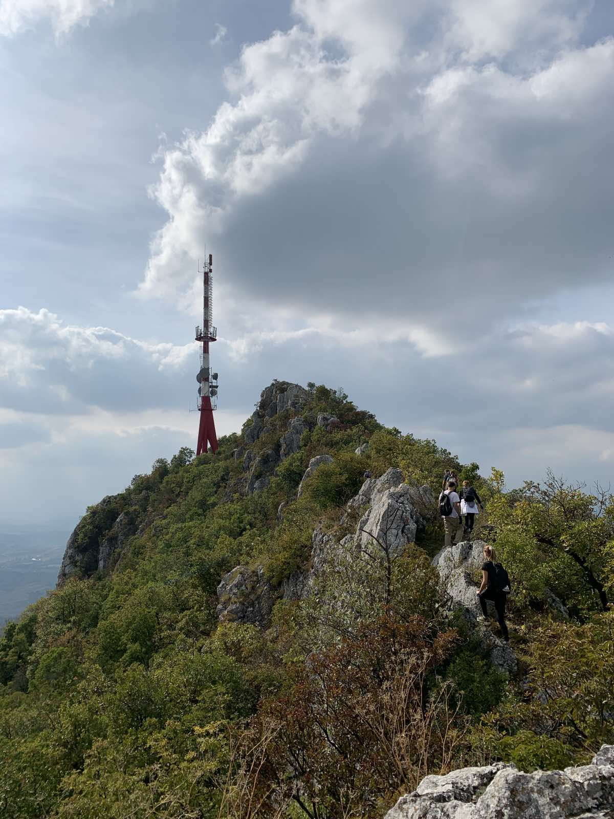 viber_slika_2025-02-07_12-48-29-956