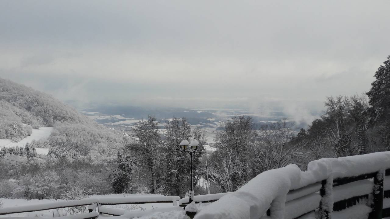 viber_slika_2025-02-07_12-57-44-182