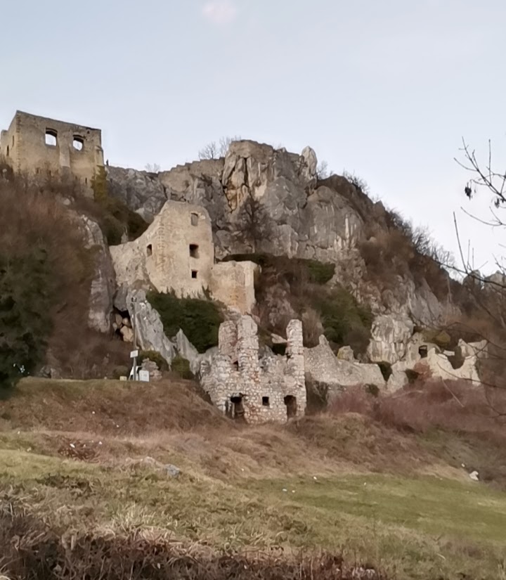 viber_slika_2025-02-09_17-23-22-148